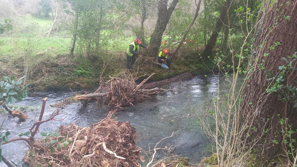 Imaxe 2 de 2 asociada á nova