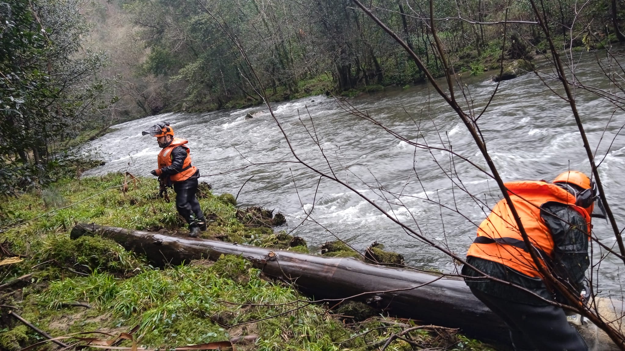 Imagen del artículo A Xunta executa actuacións de limpeza nos treitos interurbanos de tres ríos no concello de Viveiro