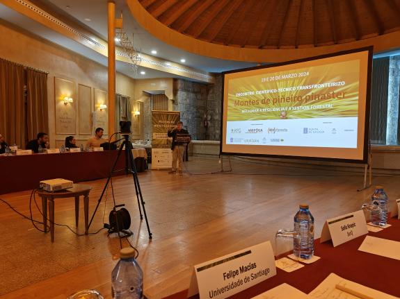 Imagen de la noticia:La Xunta ahonda en la importancia de la gestión forestal del pino del país en el marco del Encuentro científico-técnico tran...