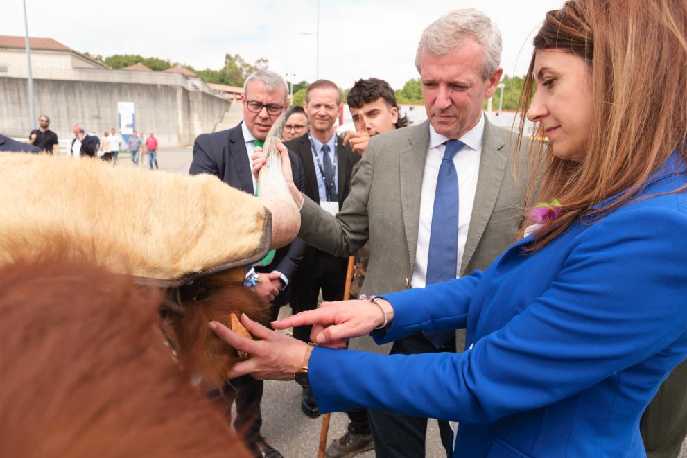 Imaxe 8 de 10 asociada á nova