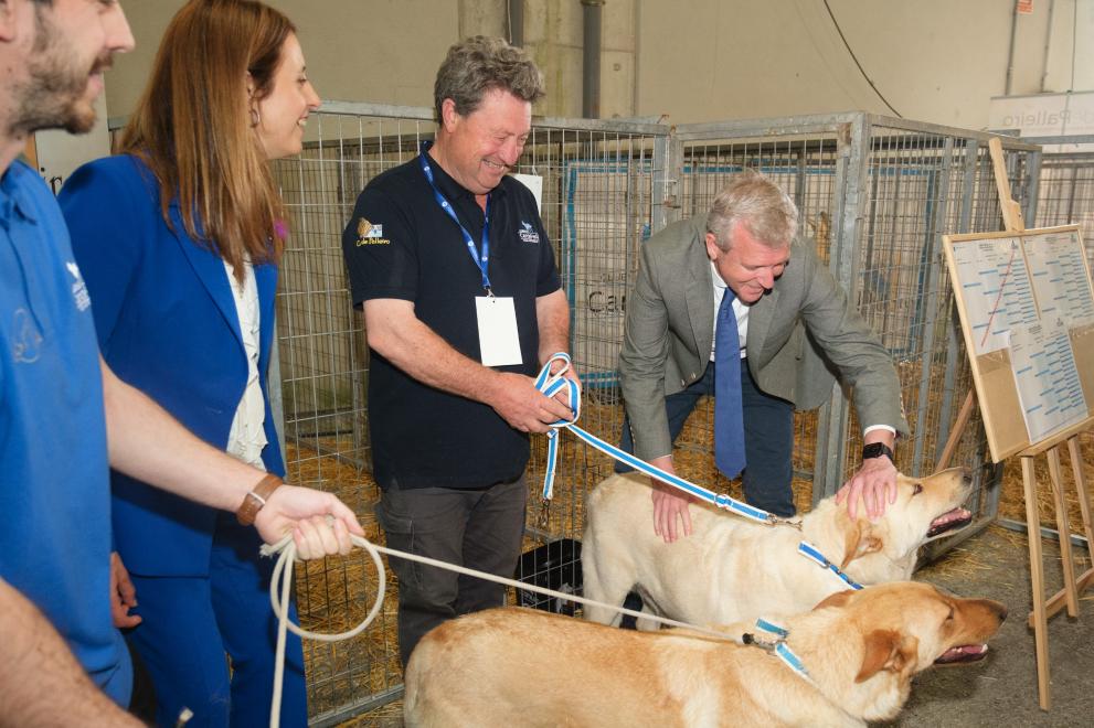 Imaxe 4 de 10 asociada á nova