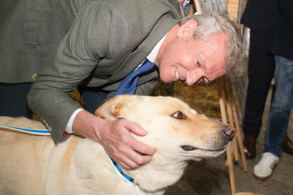 Imaxe 3 de 10 asociada á nova