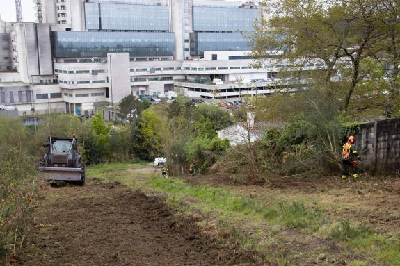 Imaxe da nova:A Xunta completa traballos preventivos en 40 hectáreas do distrito forestal III  Santiago-Meseta interior para potenciar a defensa ...