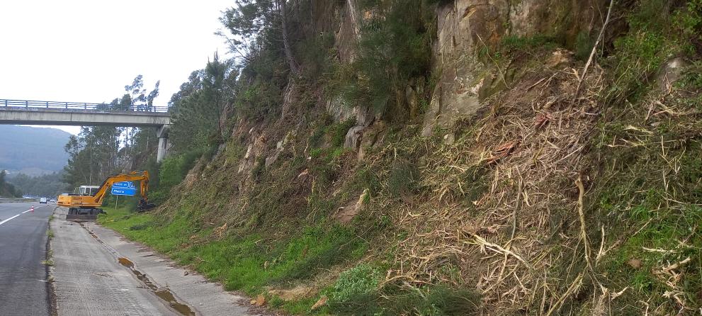 Imagen 1 de 5 asociada a la noticia