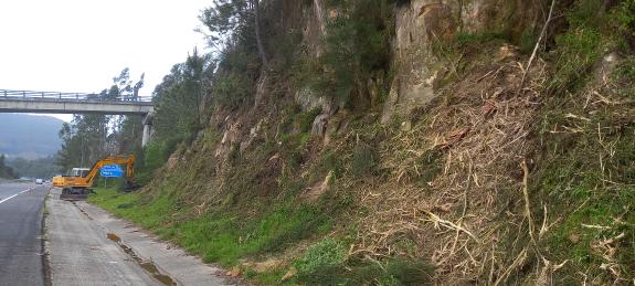 Imaxe da nova:A Xunta iniciará a vindeira semana traballos de limpeza nas marxes da estrada OU-540, que comunica Ourense e Lobios
