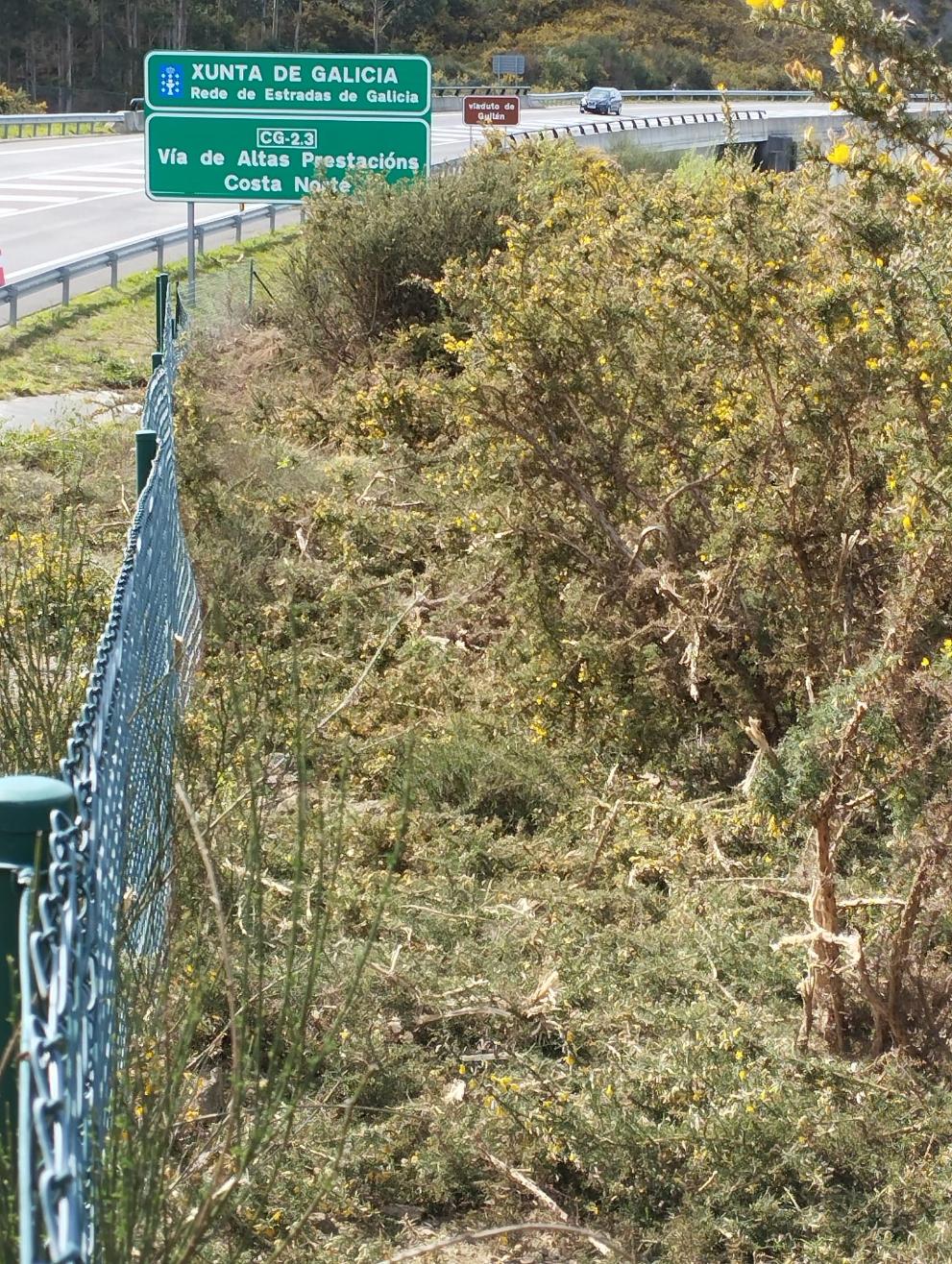 Imagen 2 de 5 asociada a la noticia