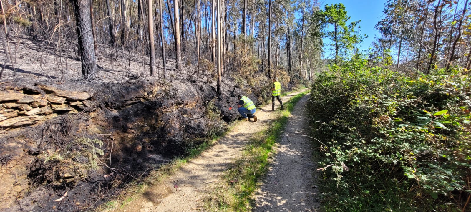 Image 0 of article A Unidade de Investigación de Incendios Forestais (UIFO) da Xunta identifica a presunta autora de varios lumes no concello coruñés de Coristanco