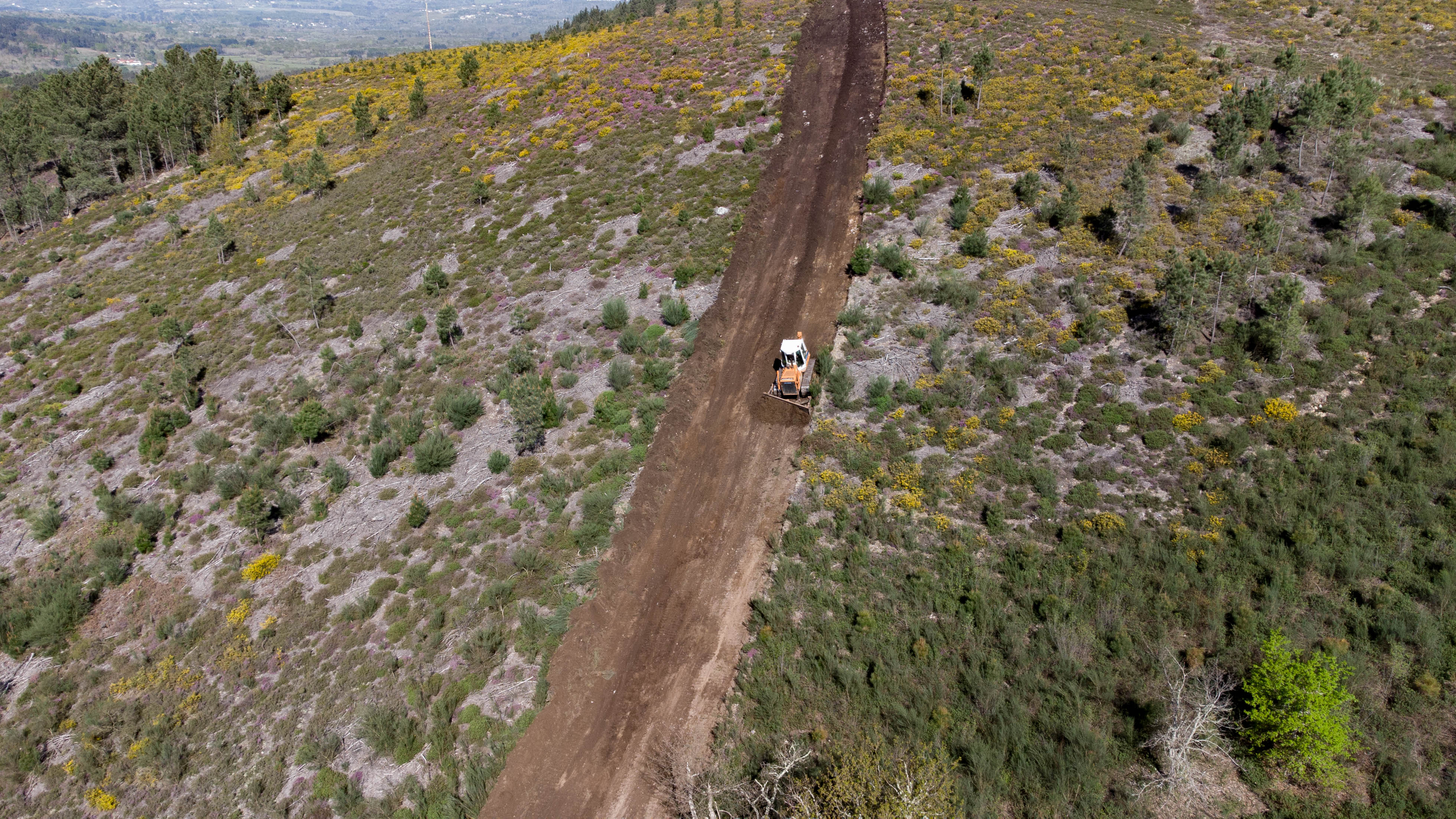 Imagen del artículo A Xunta completa traballos preventivos nuns 50 quilómetros de pistas e nunhas 10 hectáreas de cortalumes do distrito forestal VIII Terra de Lemos
