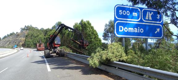 Imaxe da nova:A Xunta inicia a vindeira semana traballos de limpeza nas marxes da estrada autonómica LU-862 ao seu paso polos concellos de Viveir...