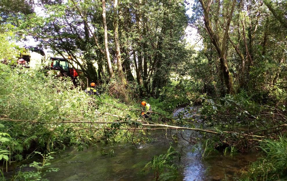 Imaxe 2 de 2 asociada á nova