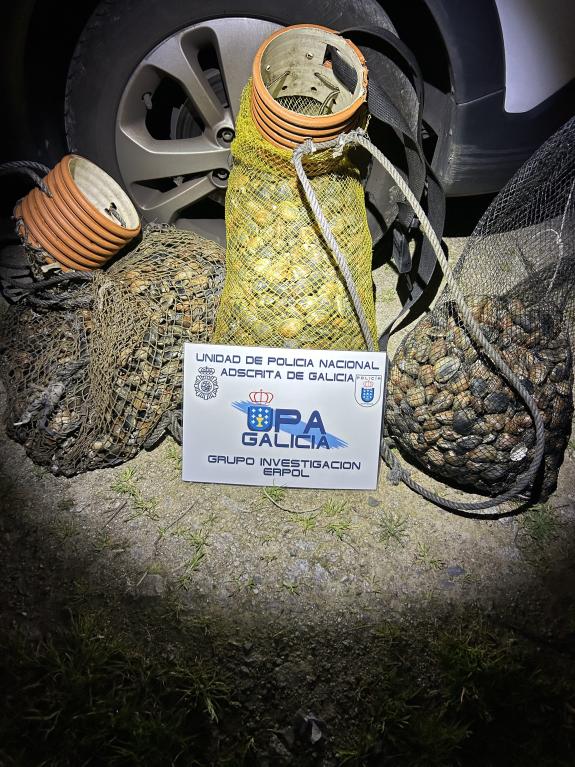 Imaxe da nova:A policía autonómica comisa máis de 120 quilos de ameixa en Ferrol