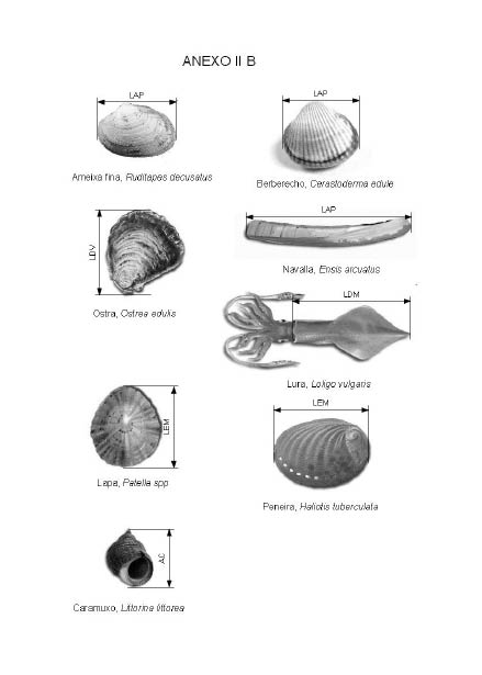 missing image file