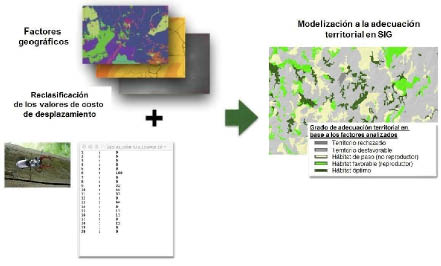 missing image file
