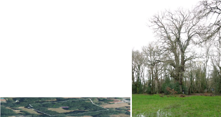 missing image file